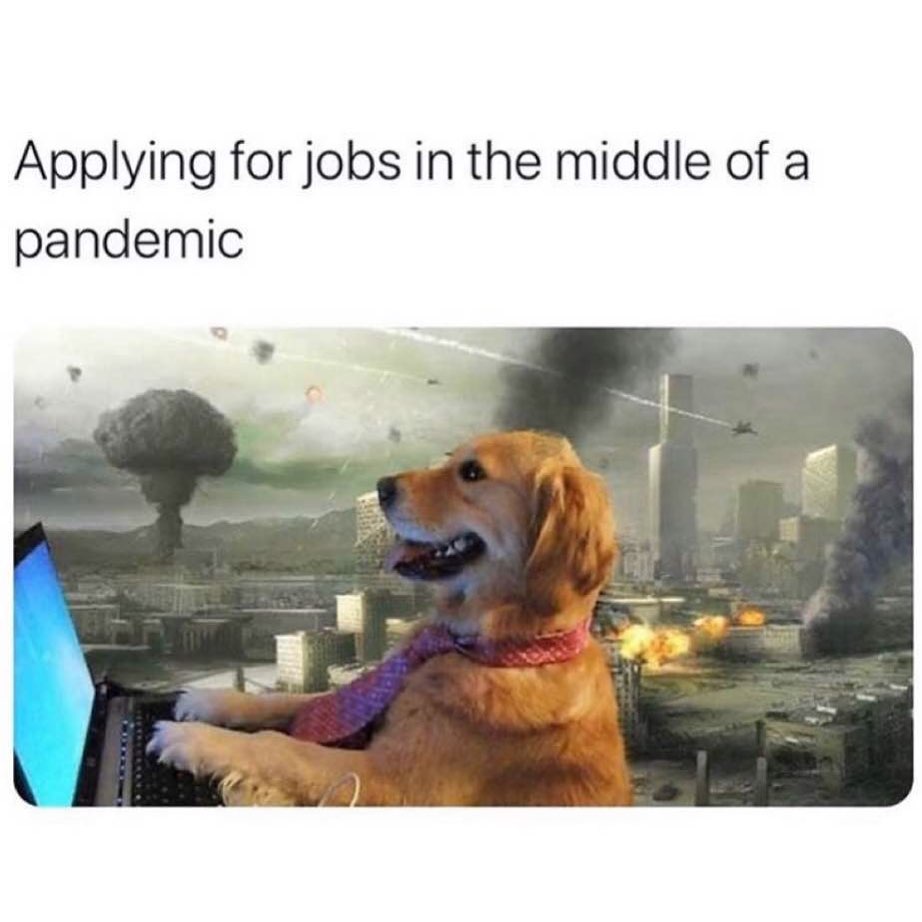 Applying for jobs in the middle of a pandemic.