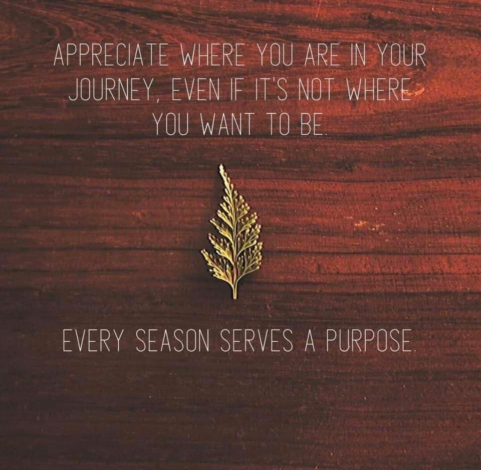 Appreciate where you are in your journey, even if it's not where you want to be. Every season serves a purpose.