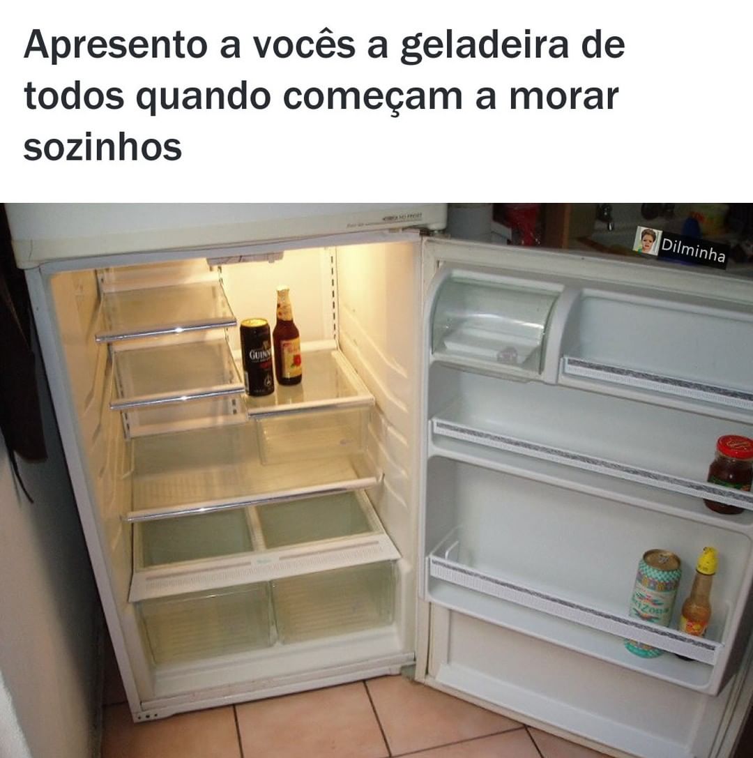 Apresento a vocês a geladeira de todos quando começam a morar sozinhos.