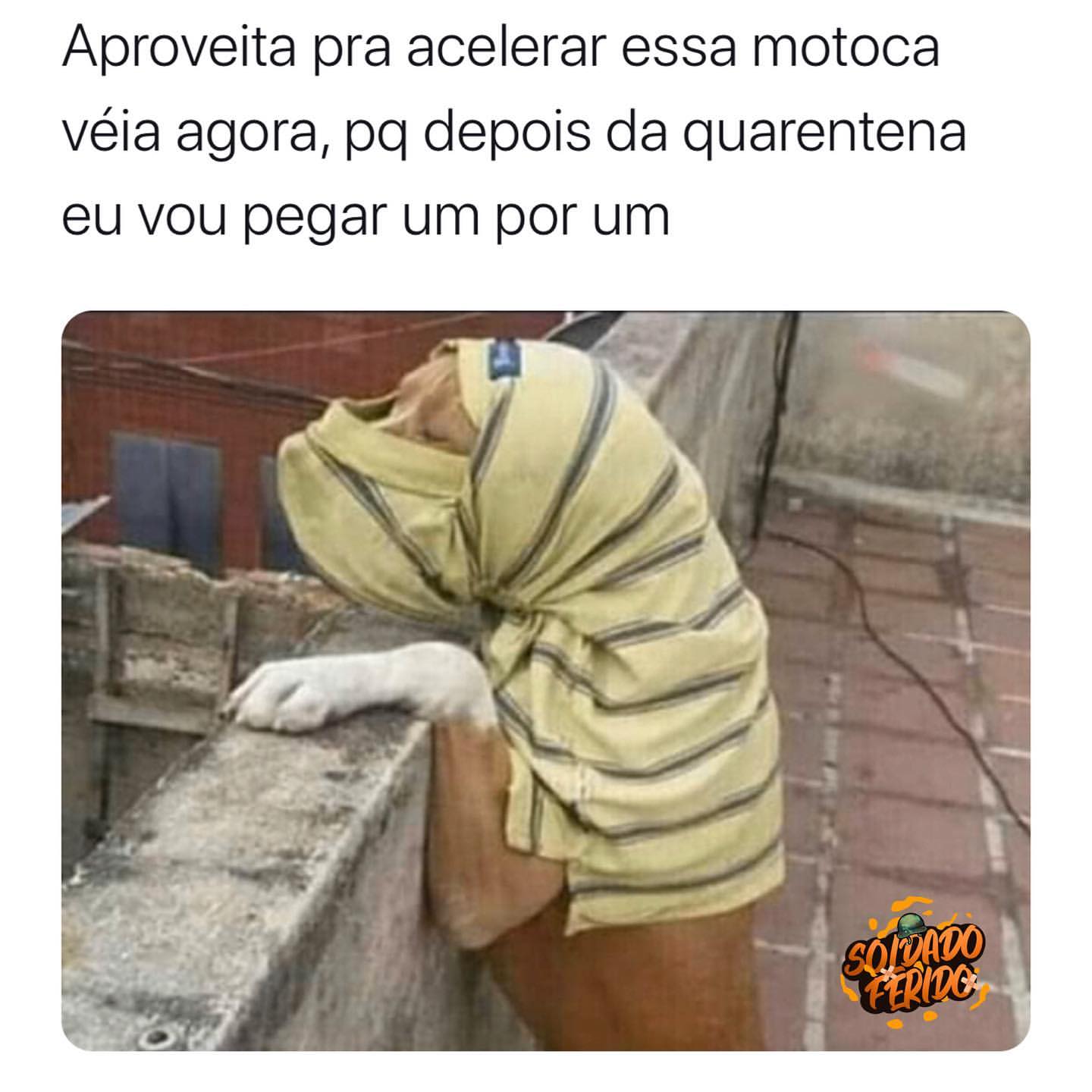 Aproveita Pra Acelerar Essa Motoca V Ia Agora Pq Depois Da Quarentena Eu Vou Pegar Um Por Um