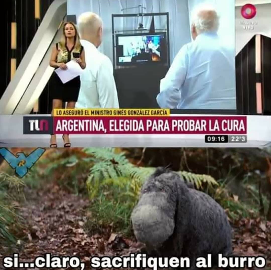Argentina, elegida para probar la cura.  Si... Claro, sacrifiquen al burro.