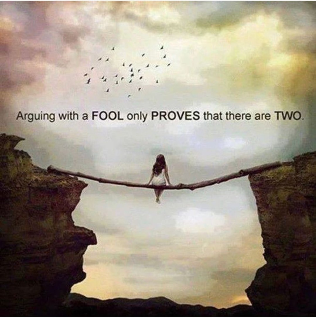Arguing with a fool only proves that there are two.