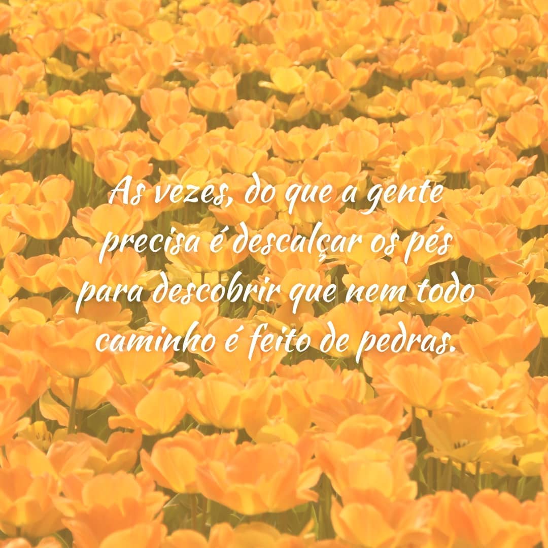 Às vezes, do que a gente precisa é descalçar os pés para descobrir que nem todo caminho é feito de pedras.