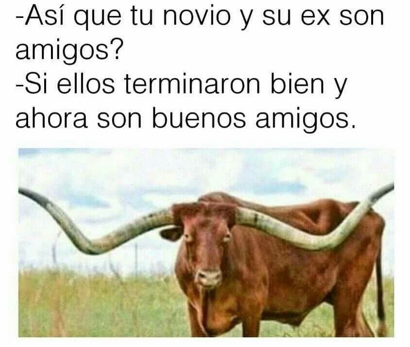 Así que tu novio y su ex son amigos?  Si ellos terminaron bien y ahora son buenos amigos.