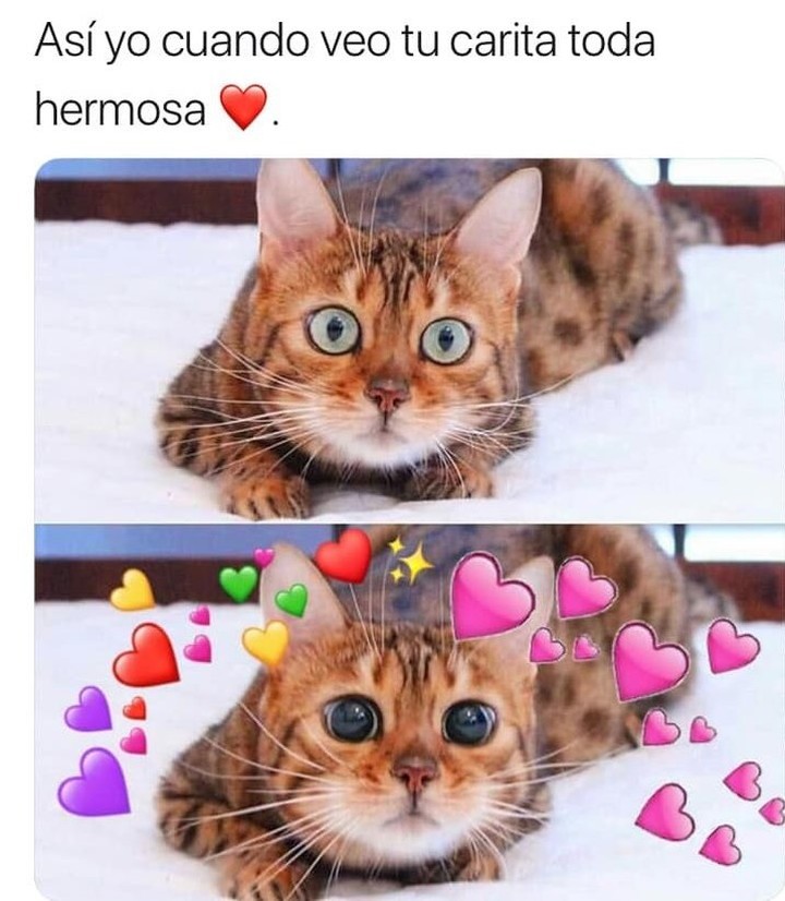 As yo cuando veo tu carita toda hermosa. Memes