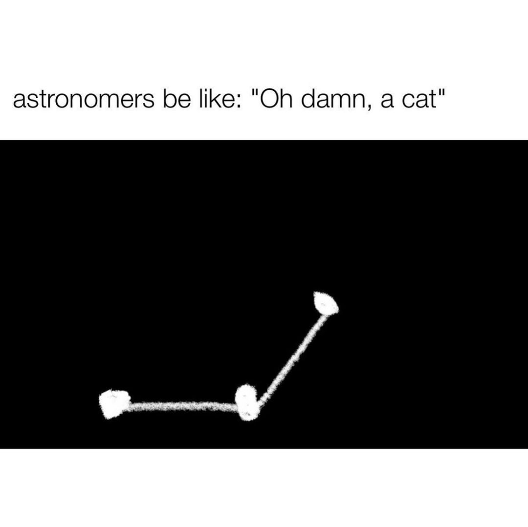 Astronomers be like: "Oh damn, a cat".