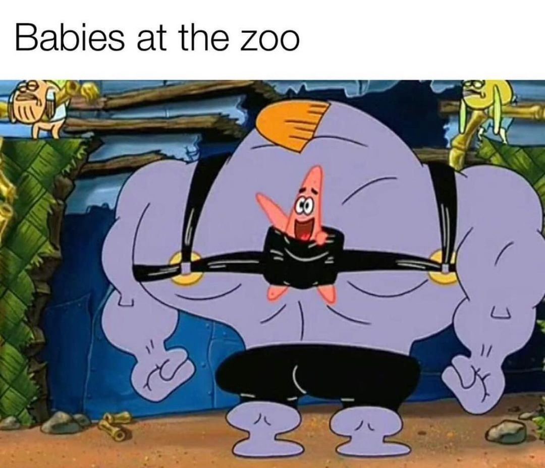 Babies at the zoo.