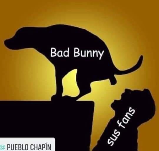 Bad Bunny. Sus fans.