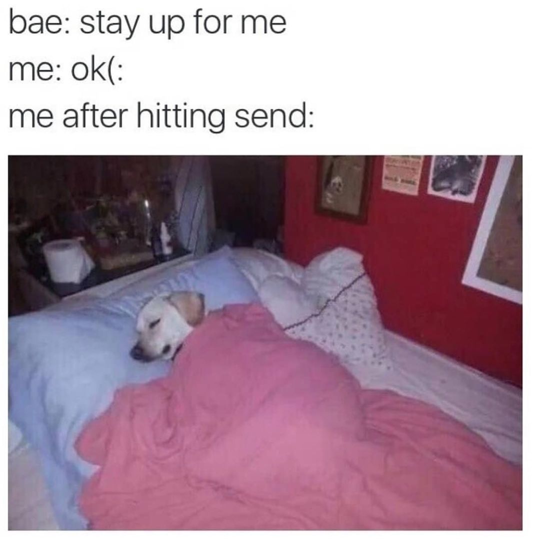 Bae: Stay up for me. Me: Ok. Me after hitting send: