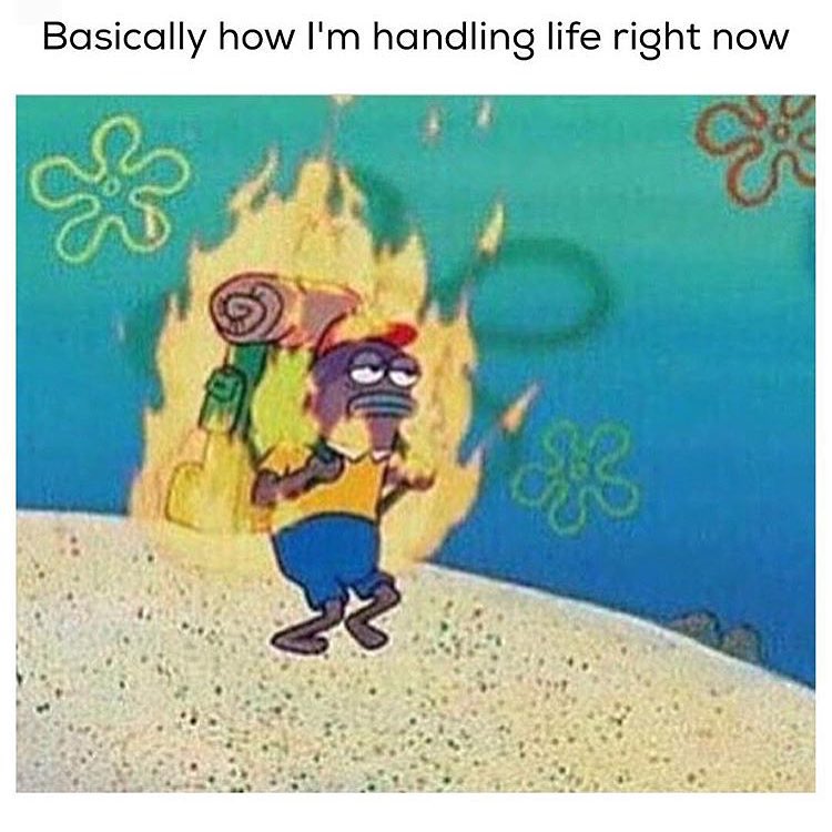 Basically how I'm handling life right now.