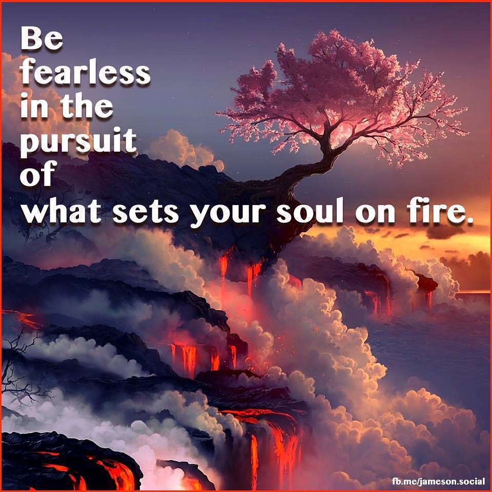 Be fearless in the pursuit of what sets your soul on fire...