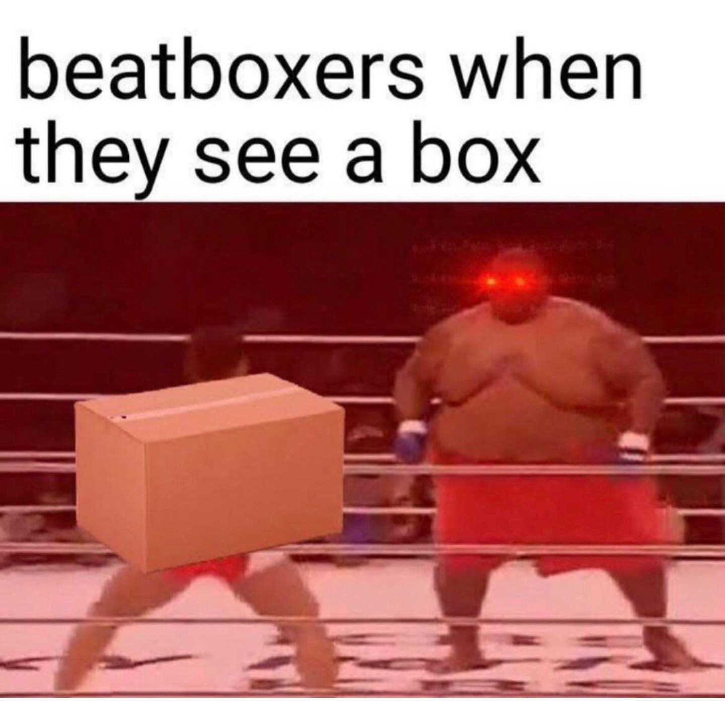 Beatboxers when they see a box.