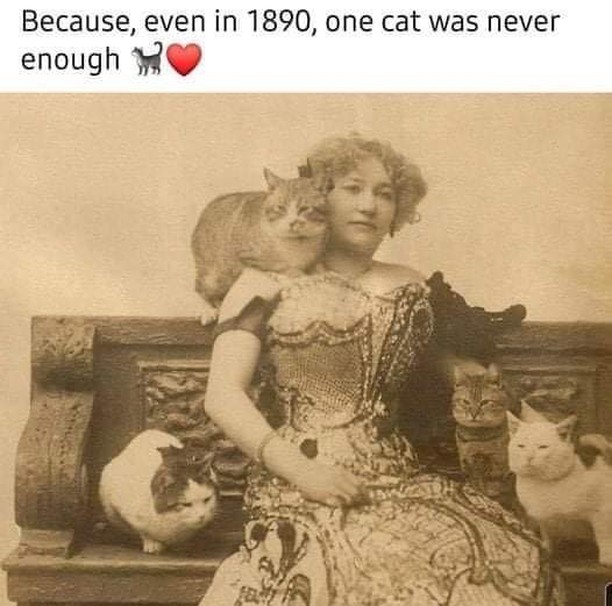 Because, even in 1890, one cat was never enough.