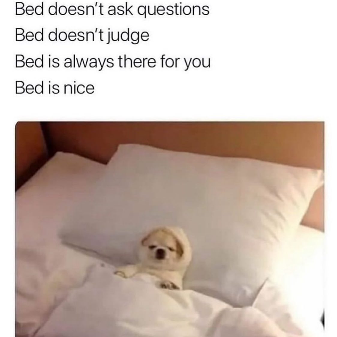 Bed doesn't ask questions. Bed doesn't judge. Bed is always there for you. Bed is nice.