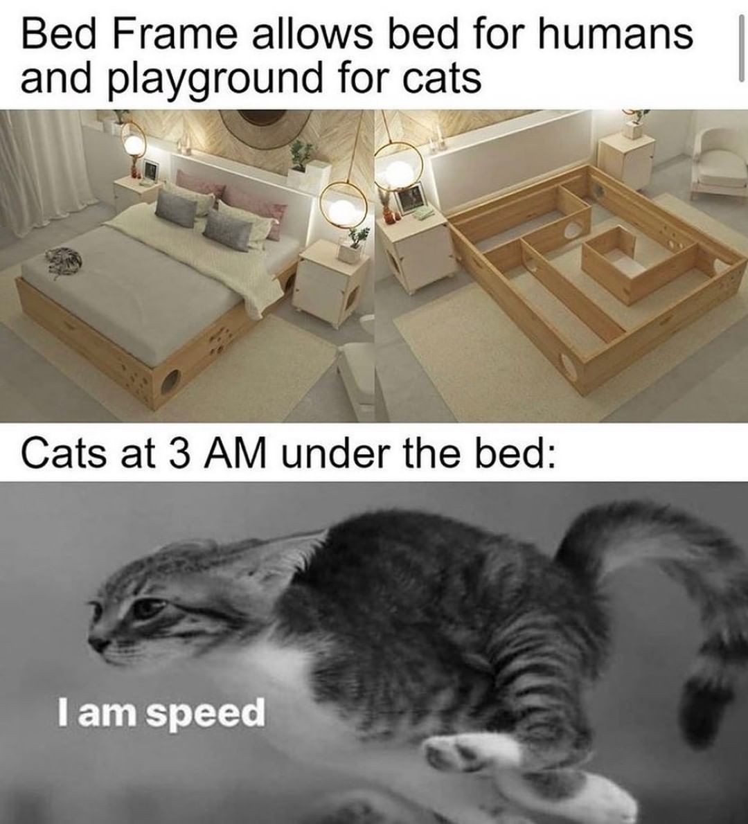 Bed Frame allows bed for humans and playground for cats. Cats at 3 AM under the bed: I am speed.