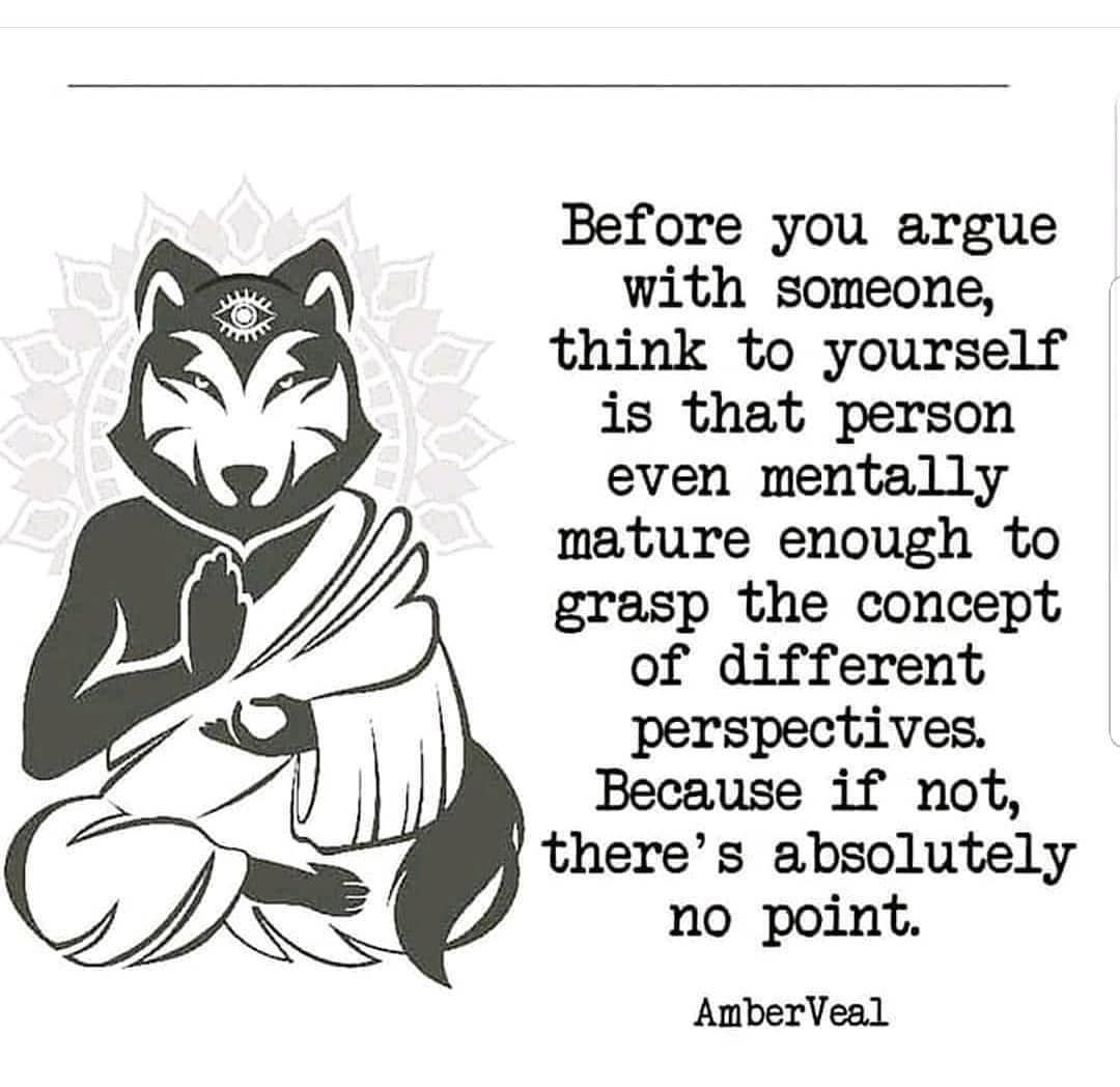 Before you argue with someone, think to yourself is that person even mentally mature enough to grasp the concept of different perspectives. Because if not, there's absolutely no point.