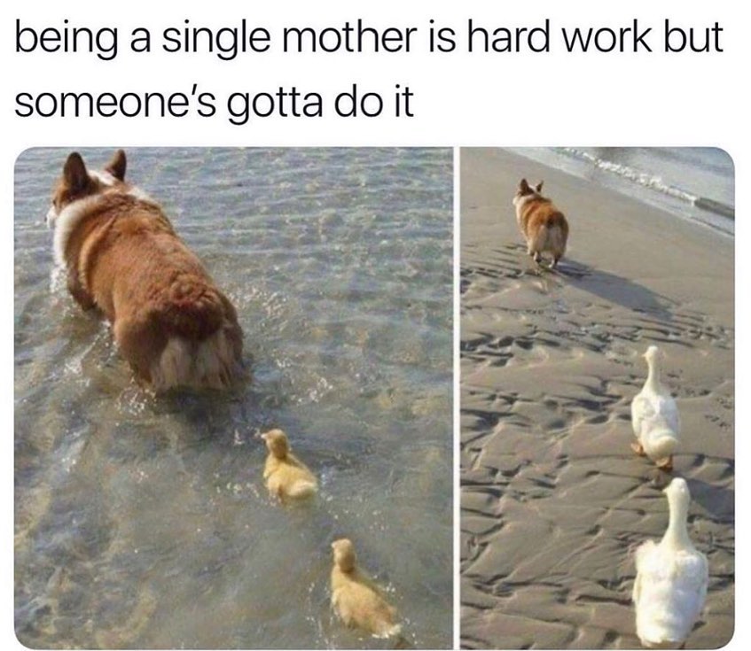Being a single mother is hard work but someone's gotta do it.
