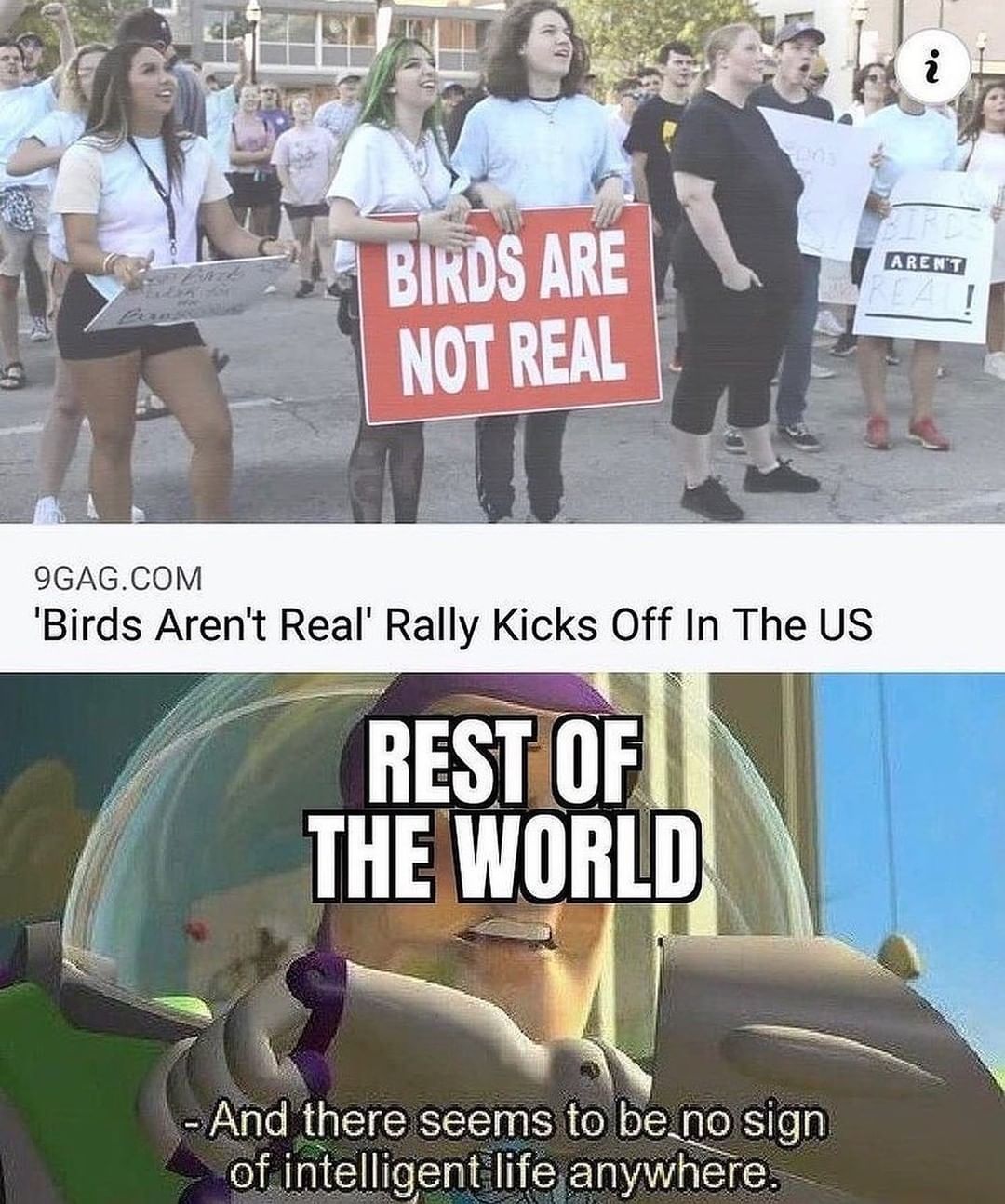 Birds Are Not Real Birds Arent Real Rally Kicks Off In The Us Rest Of The World And There