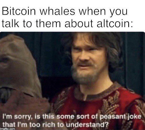 Bitcoin whales when you talk to them about altcoin: I'm sorry, is this some sort of peasant joke that I'm too rich to understand?
