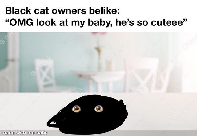 Black cat owners belike: "OMG look at my baby, he's so cuteee".