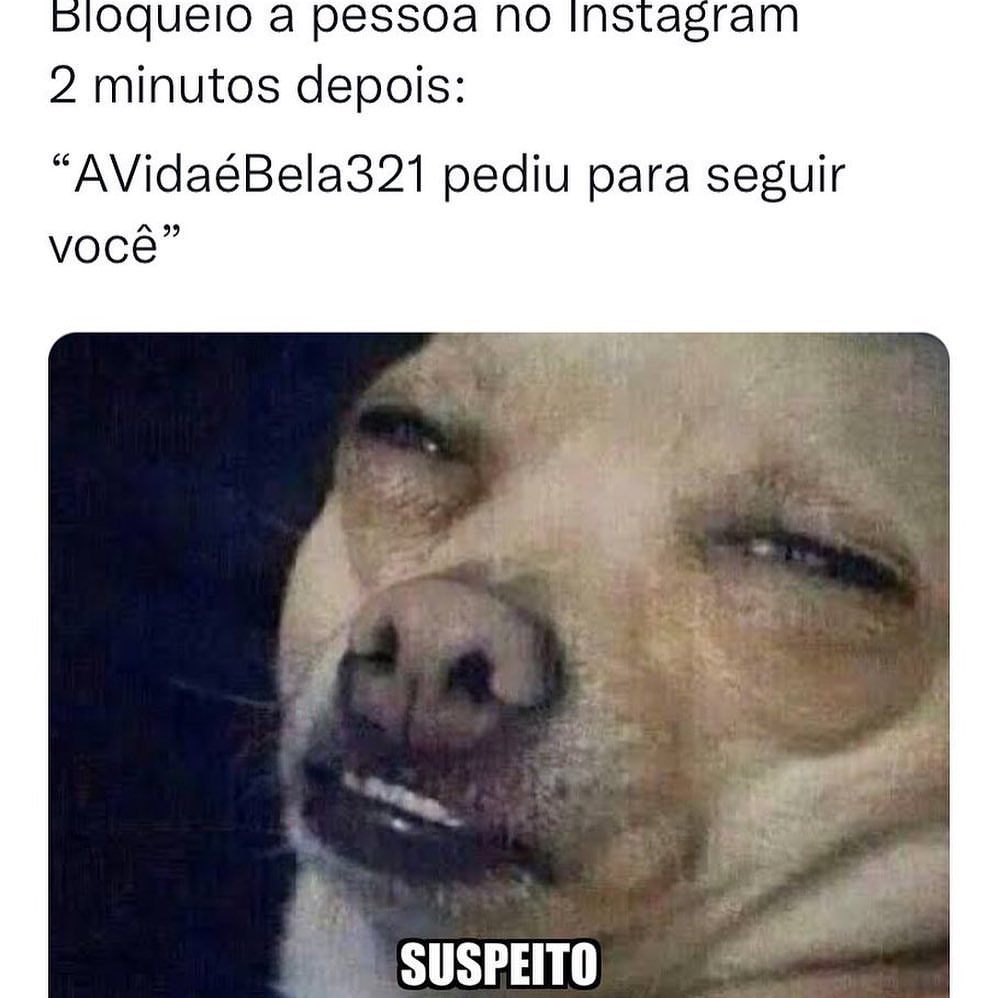 Bloqueio a pessoa no Instagram. 2 minutos depois: "AVidaéBela321 pediu para seguir você". Suspeito.