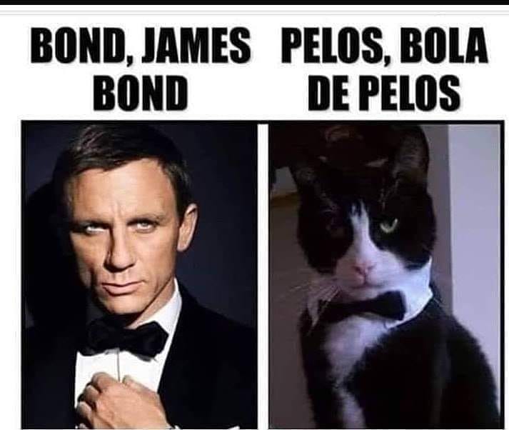 Bond, James Bond. Pelos, bola de pelos.
