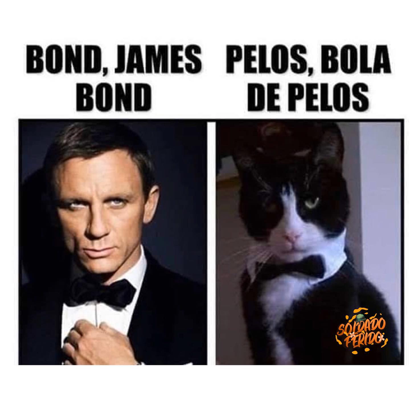 Bond James Bond. Pelos, bola de pelos.