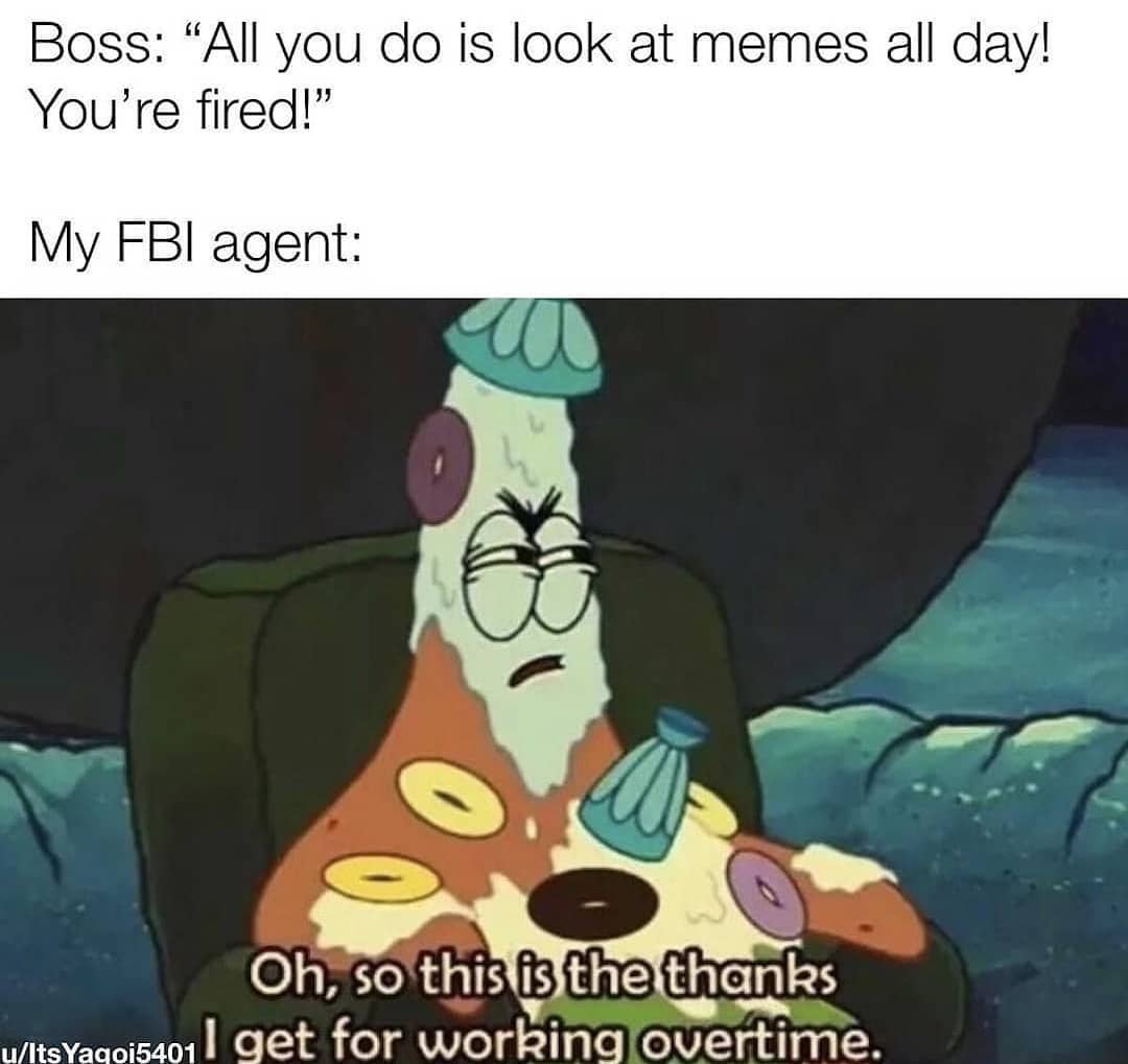 Boss: "All you do is look at memes all day! You're fired!" My FBI agent: Oh: so this is the thanks I get for working overtime.