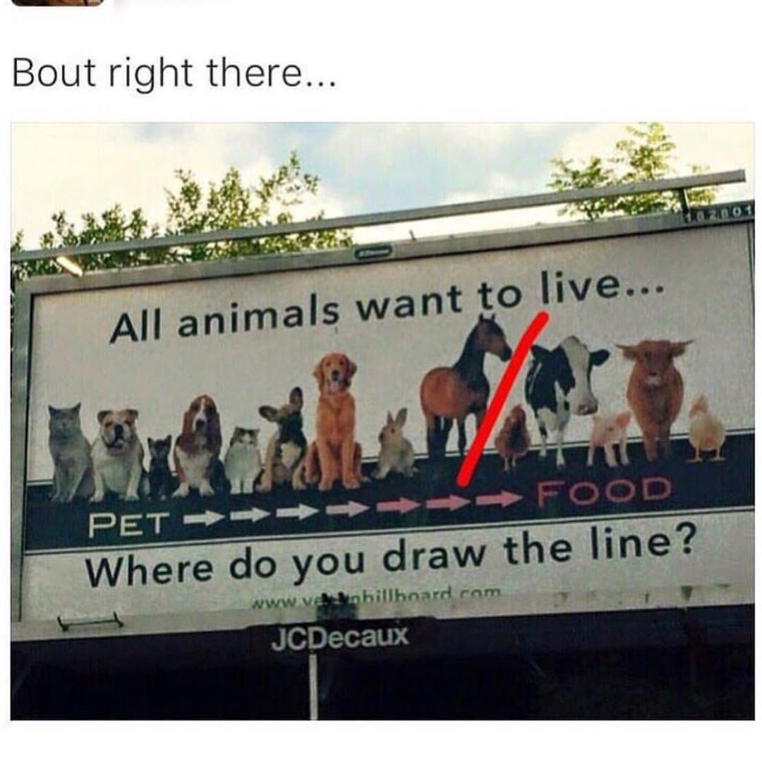 Bout right there.. All animals want to live... Where do you draw the line?