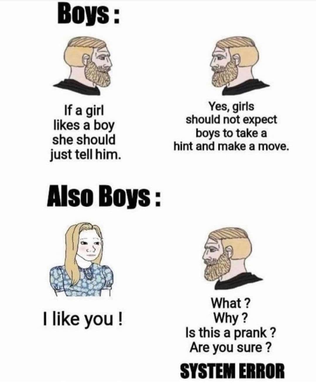 Boys: If a girl likes a boy she should just tell him.  Yes, girls should not expect boys to take a hint and make a move.  Also Boys: I like you!  What? Why? Is this a prank? Are you sure? System Error.