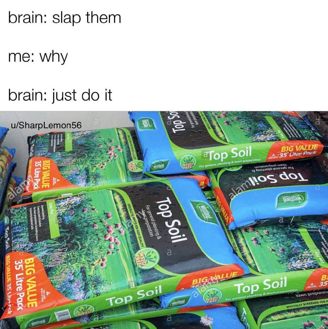 Brain: slap them.  Me: why.  Brain: just do it.