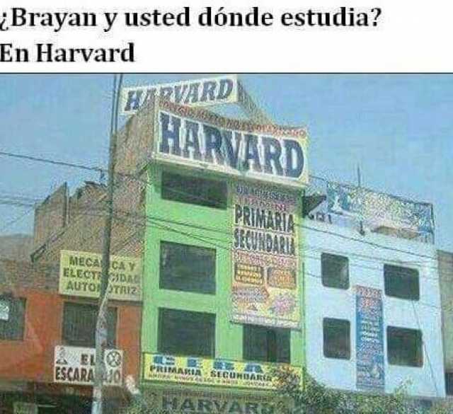 ¿Brayan y usted dónde estudia? En Harvard.