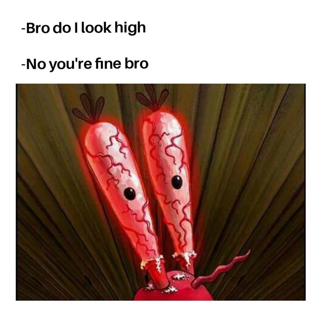 Bro do I look high.  No you're fine bro.