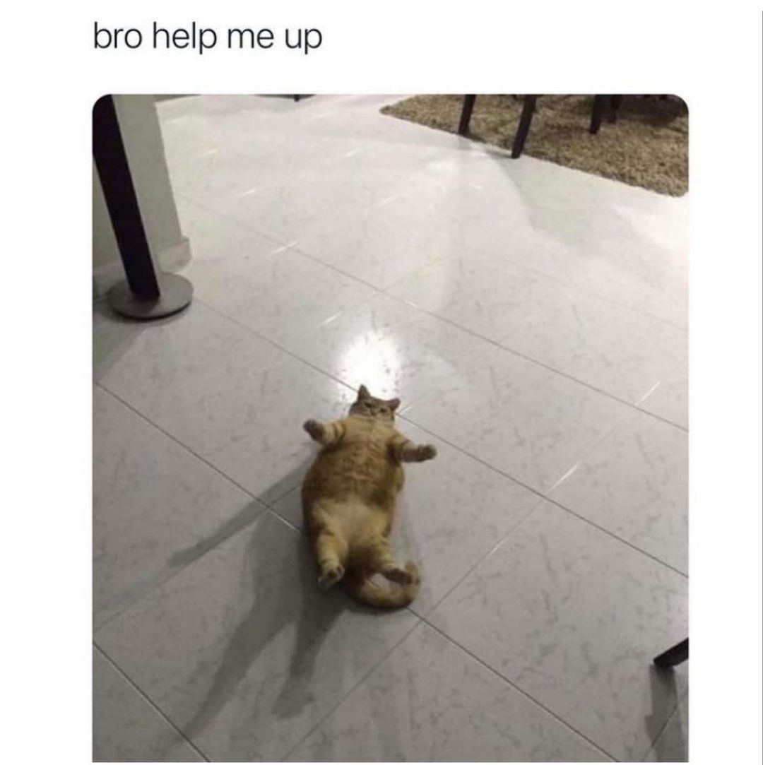 Bro help me up.