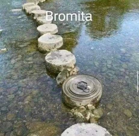 Bromita.