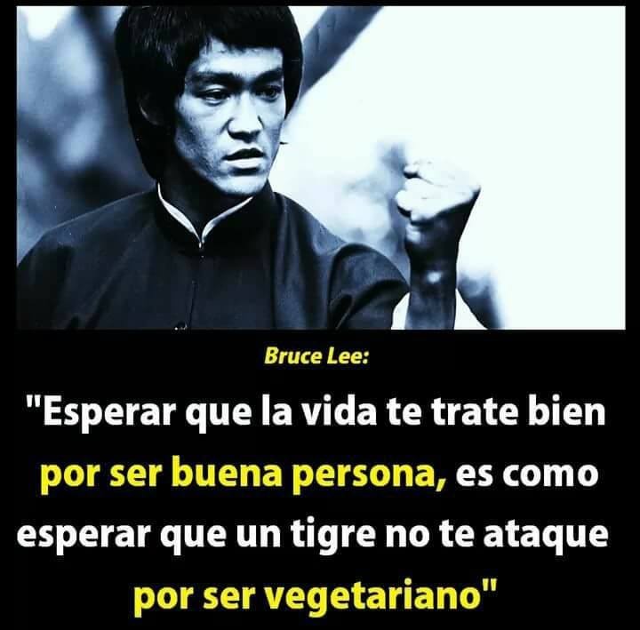 Bruce Lee: "Esperar que la vida te trate bien por ser buena persona, es como esperar que un tigre no te ataque por ser vegetariano".