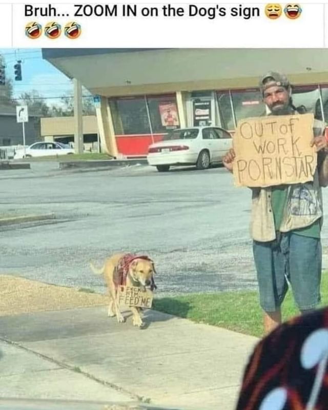 Bruh... zoom in on the dog's sign.