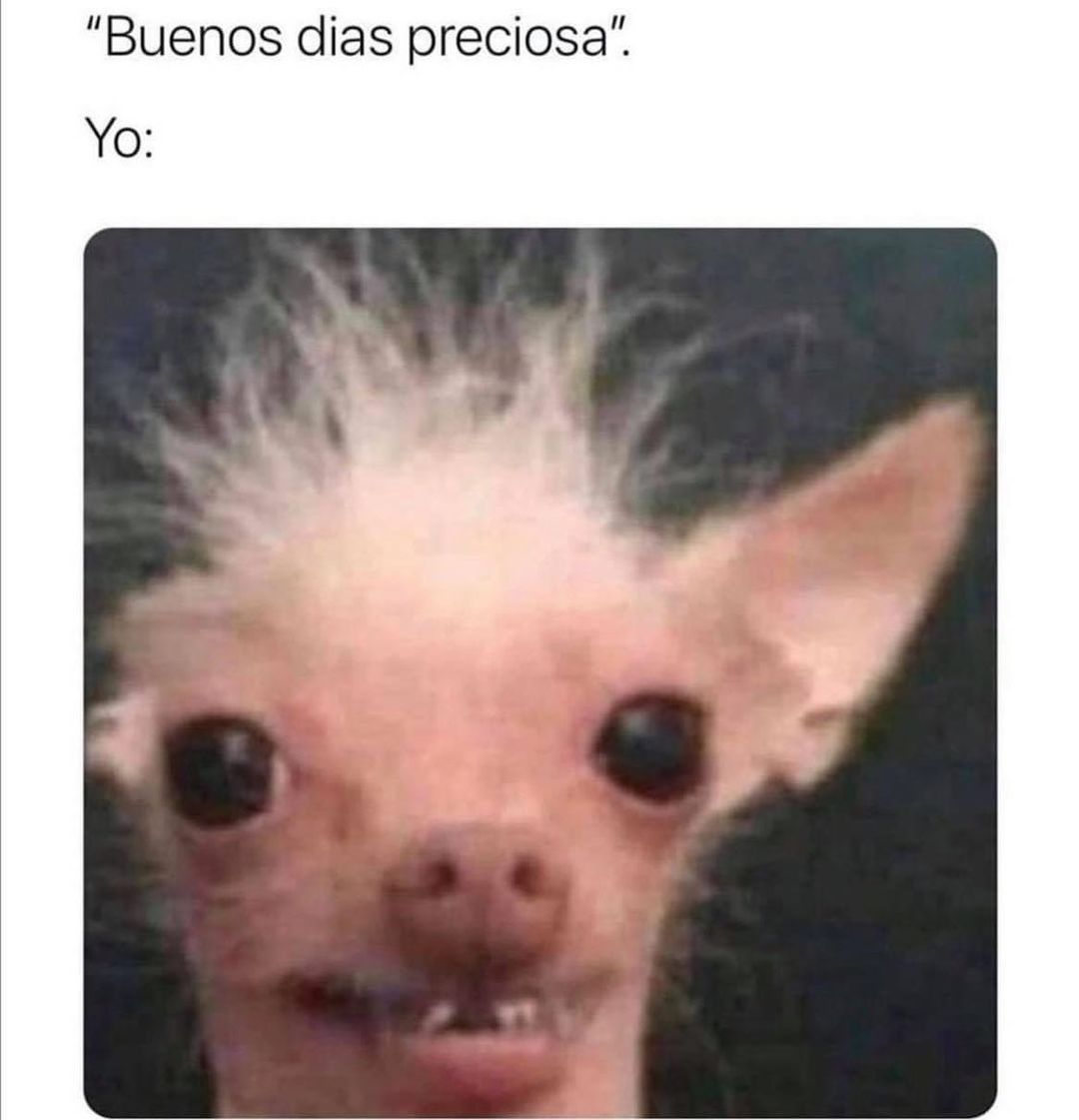 "Buenos dias preciosa". Yo: