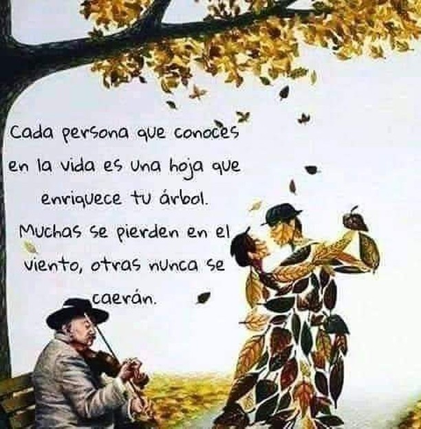 Cada pessoa que conoces en la vida es una hoja que enriquece tu árbol. Muchas se pierden en el viento, otras nunca se caerán.