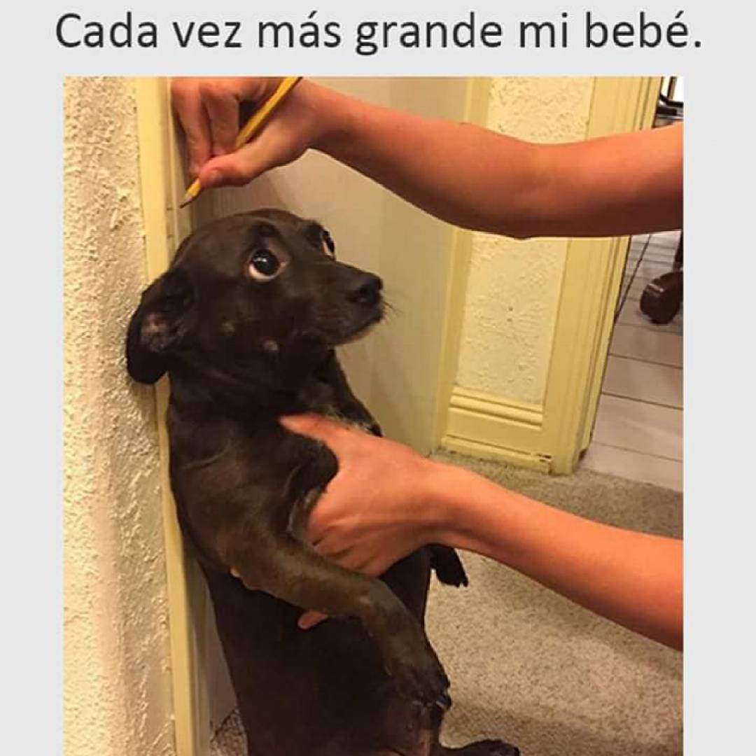 Cada vez más grande mi bebé.