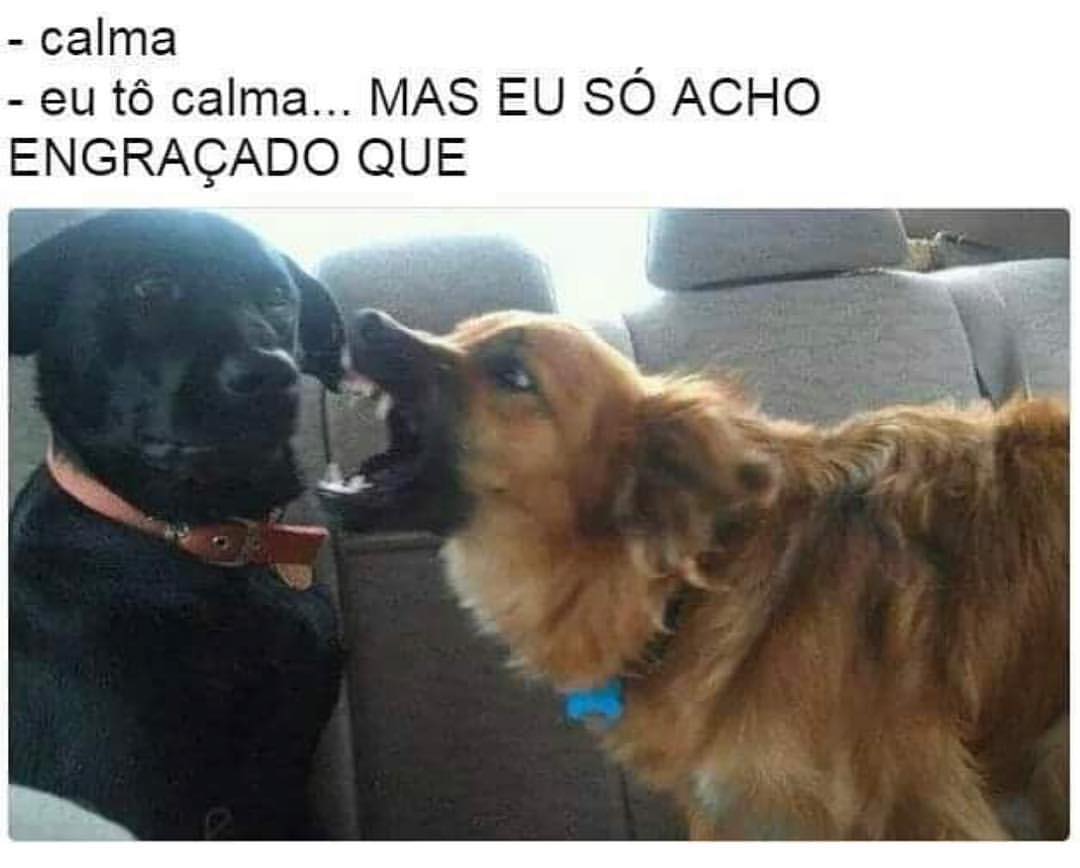 Calma. Eu tô calma... Mas eu só acho engraçado que...