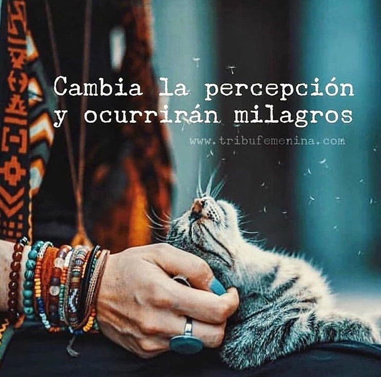 Cambia la percepción y ocurrirán milagros.