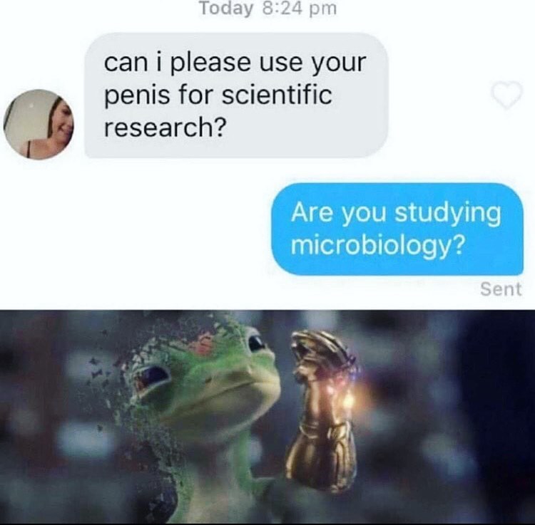 Can I please use your penis for scientific research? Are you studying microbiology?