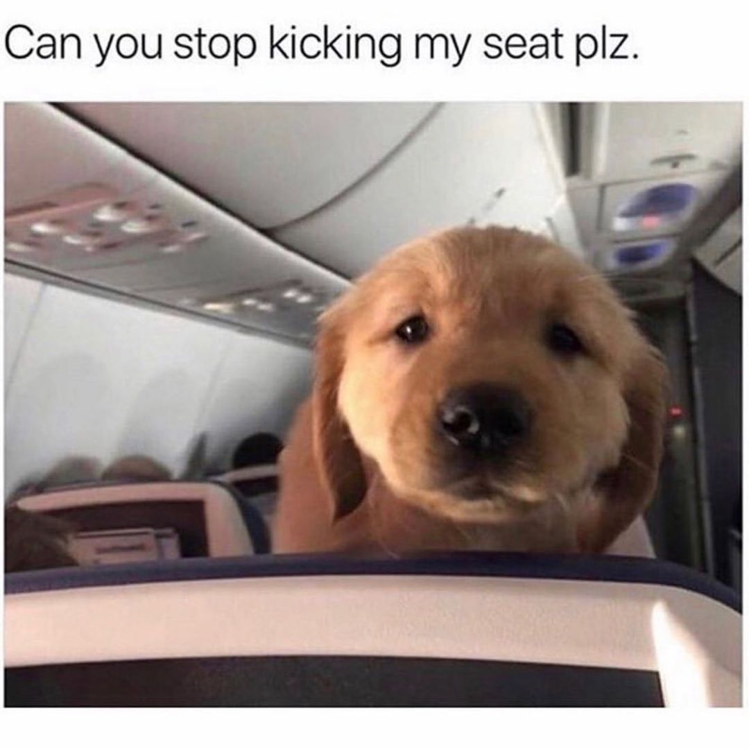 Can you stop kicking my seat plz.