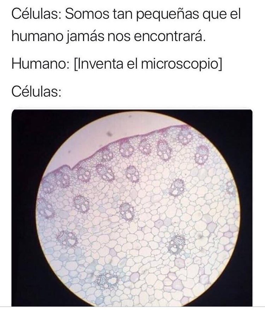 Células: Somos tan pequeñas que el humano jamás nos encontrará. Humano (inventa microscopio) Células:
