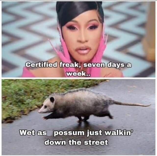 Certified freak, seven days a week...  Wet as possum just walkin' down the street.