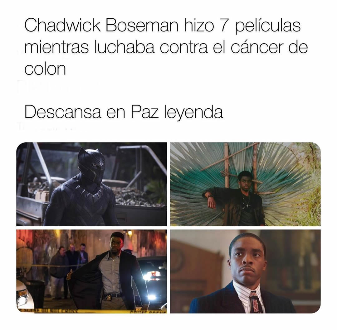 Chadwick Boseman hizo 7 películas mientras luchaba contra el cáncer de colon.  Descansa en Paz leyenda.