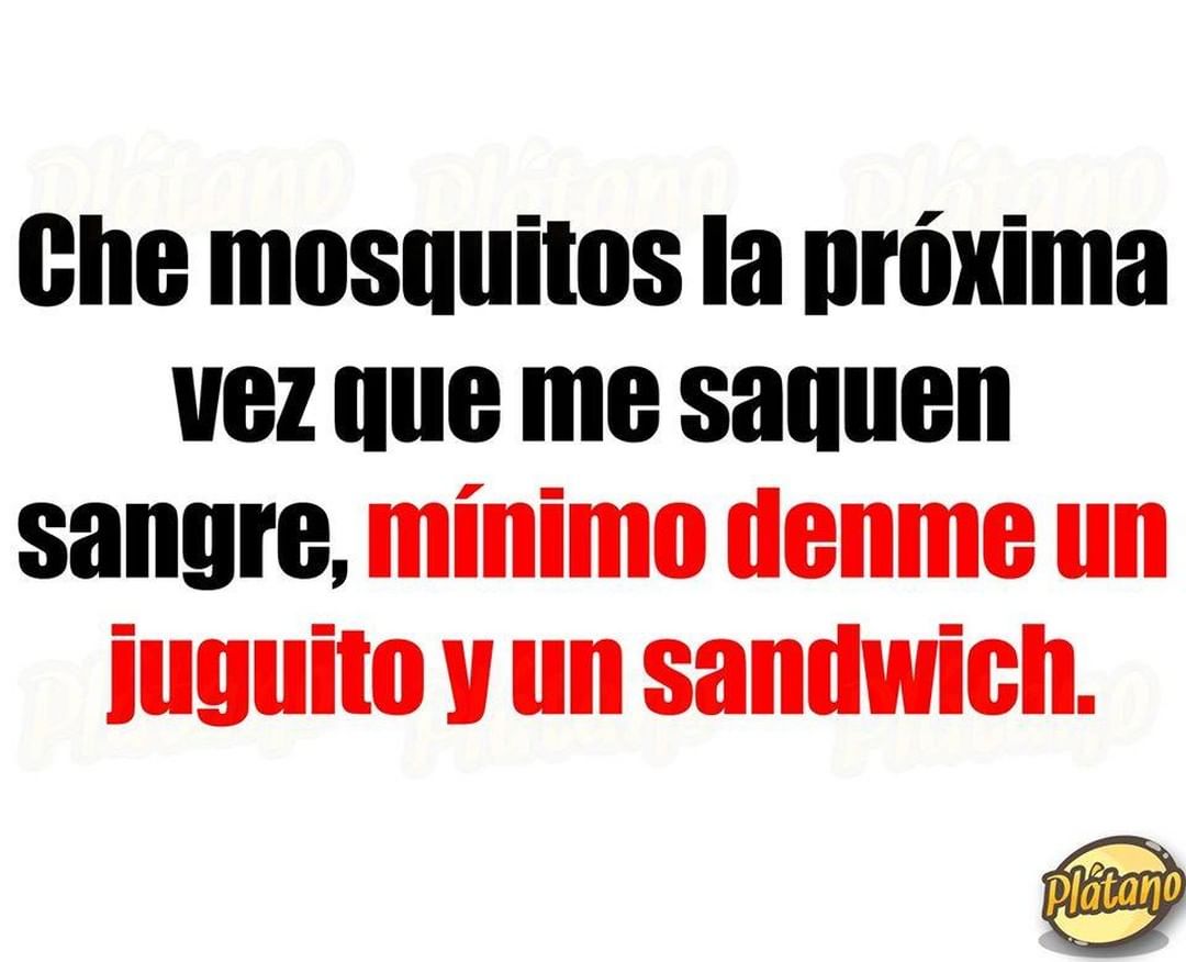 Che mosquitos la próxima vez que me saquen sangre, mínimo denme un juguito y un sandwich.