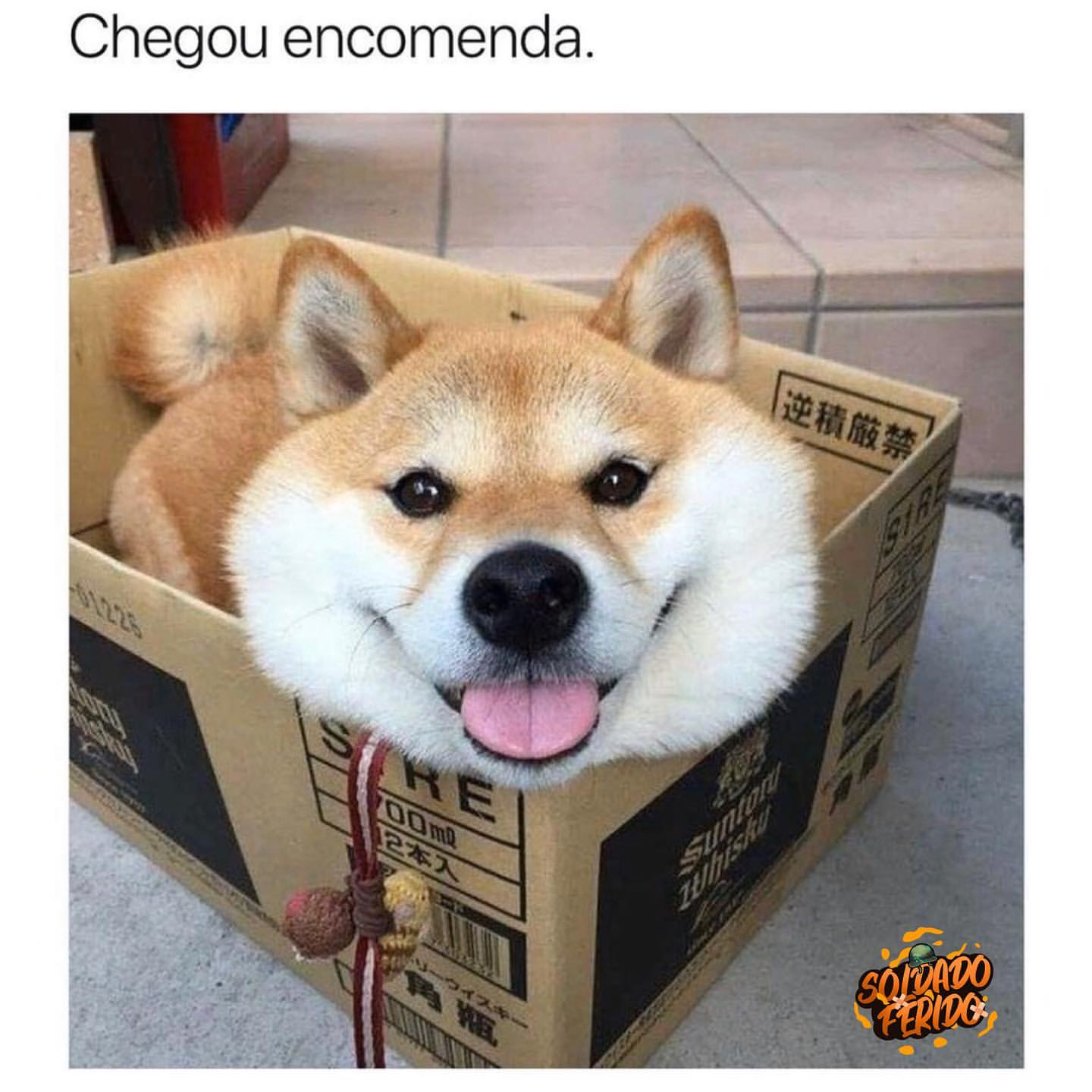 Chegou encomenda.