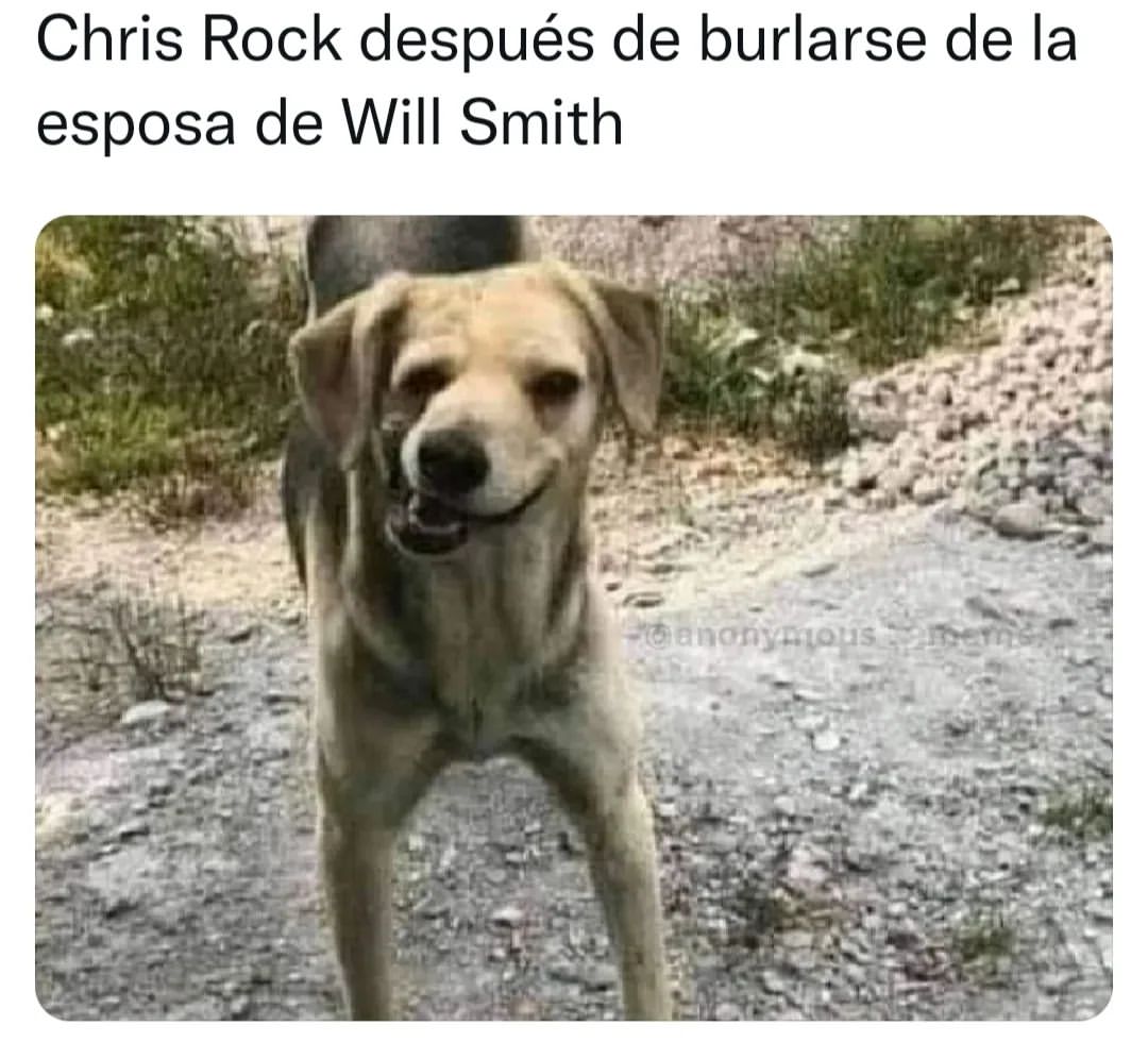 Chris Rock después de burlarse de la esposa de Will Smith.